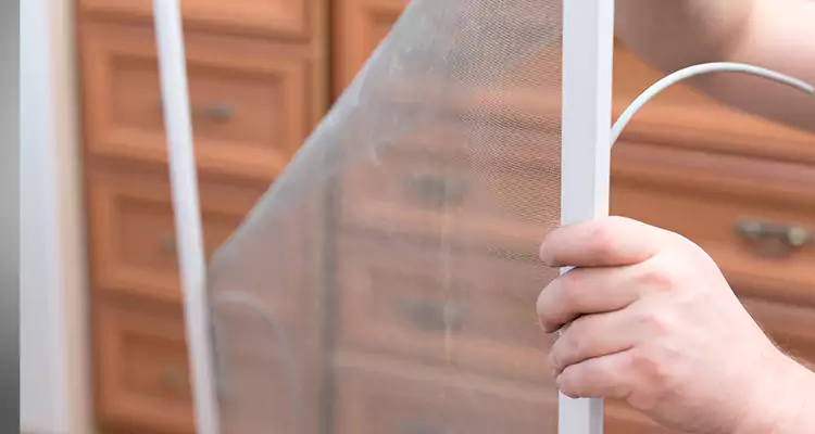 Privacy Mesh Screen Door Installation in Deerfield Beach, FL
